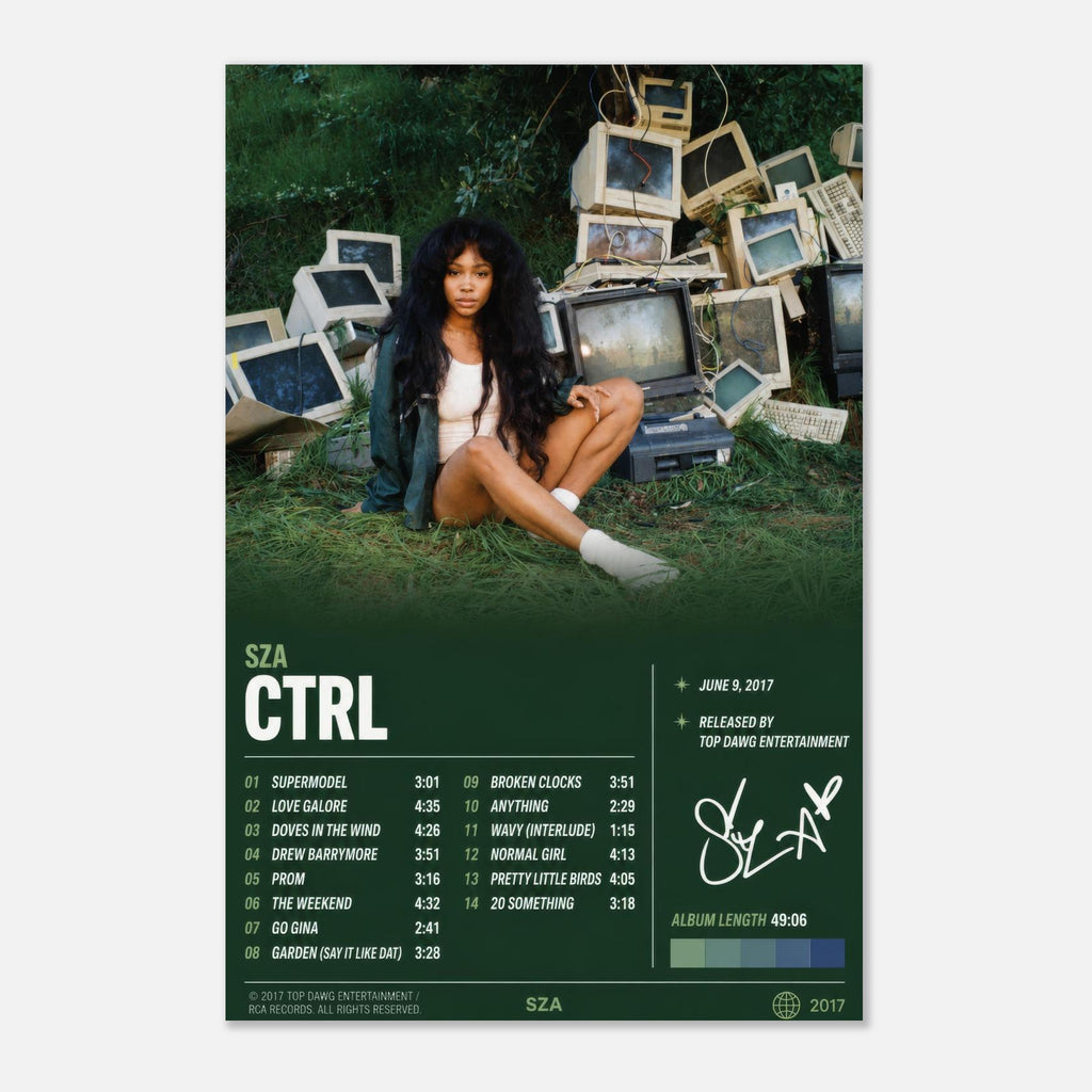 CTRL poster framed in a bedroom