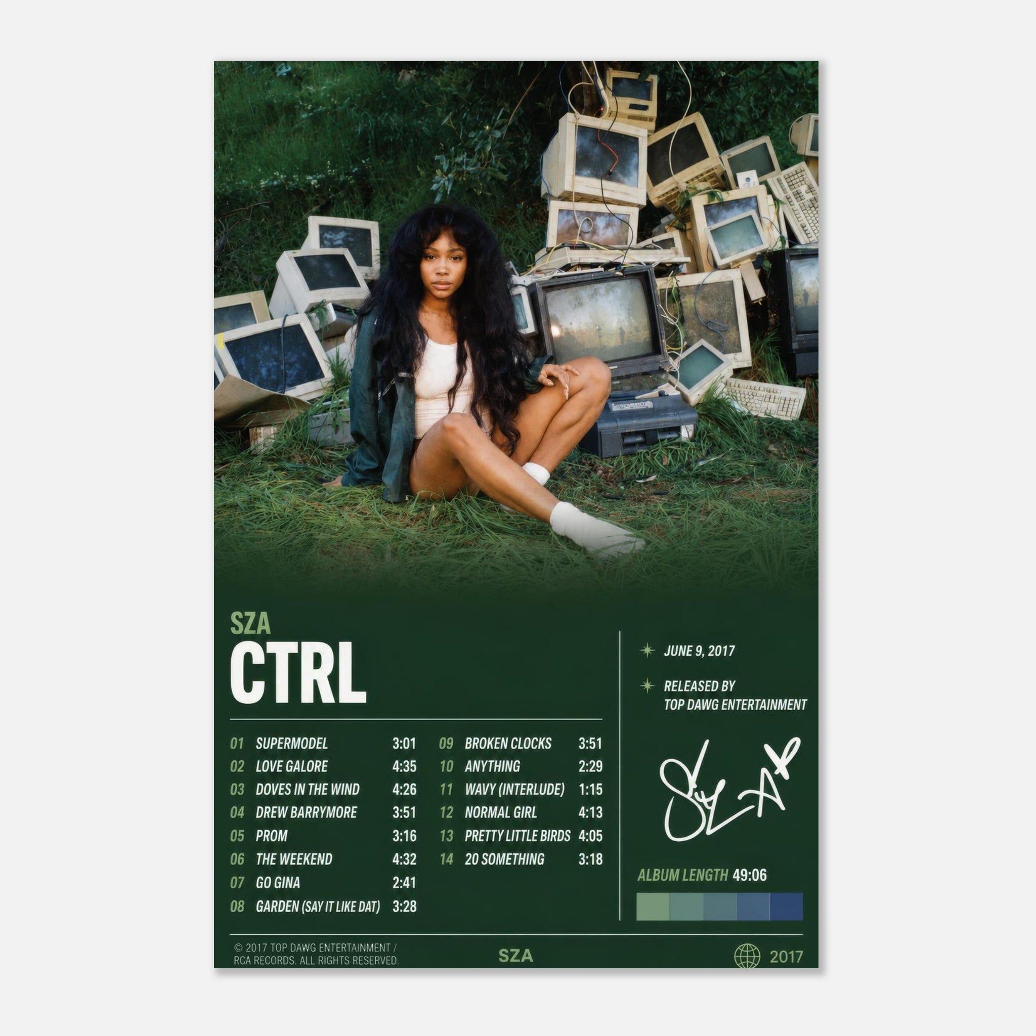 CTRL poster styled on a wall