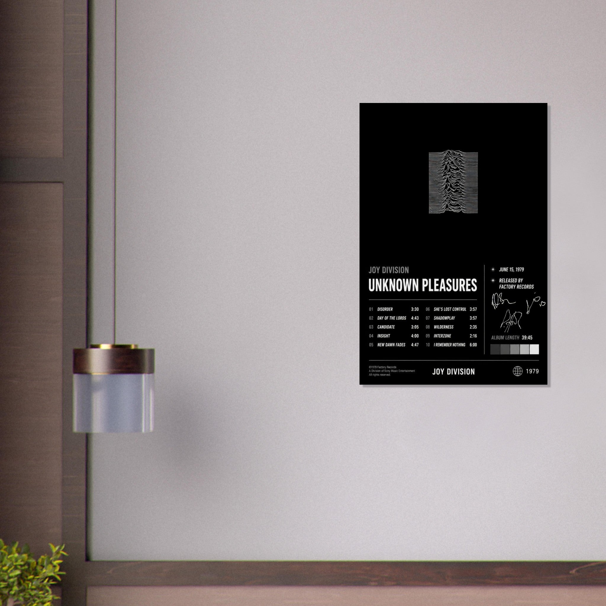 Unknown Pleasures poster close-up print detail